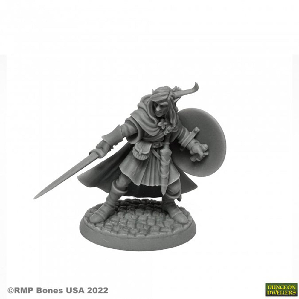 Reaper 07026: Mellonir Windrunner, Elf Warrior - Dungeon Dwellers