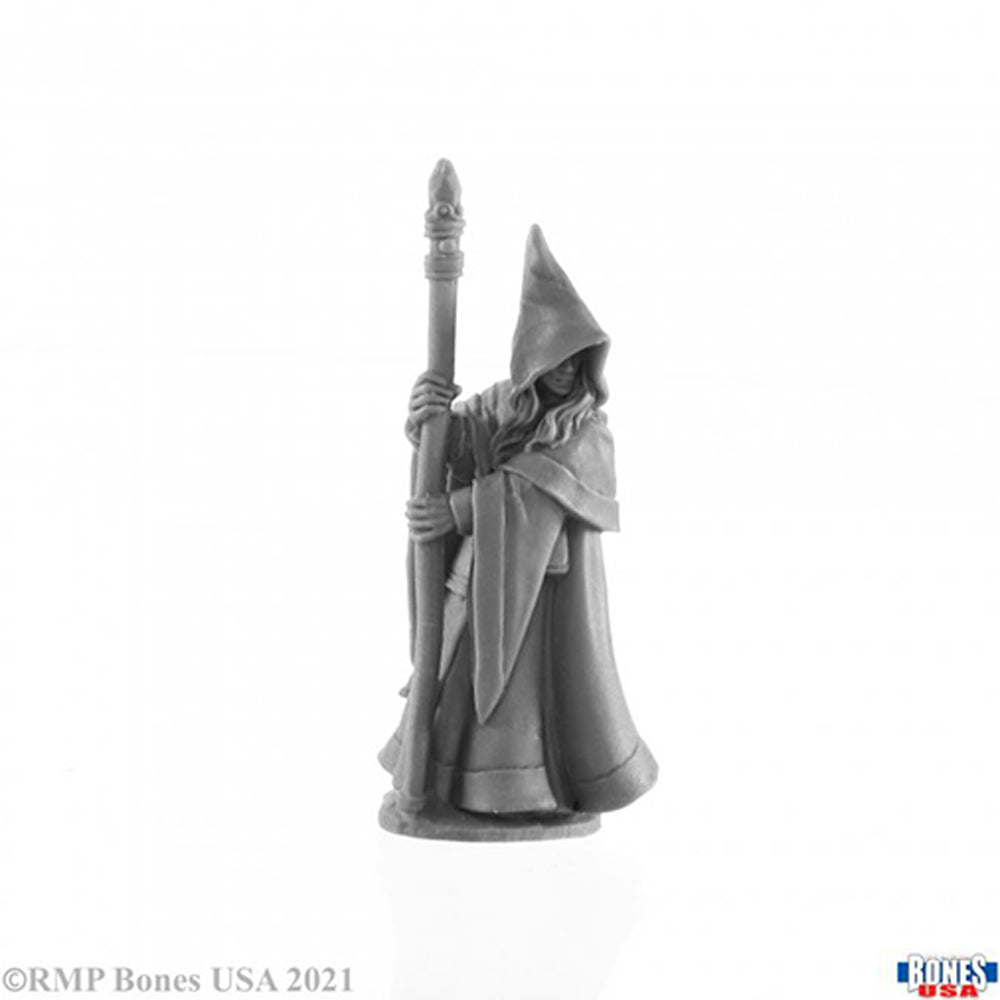 30027 Anirion Elf Wizard - Reaper Bones USA