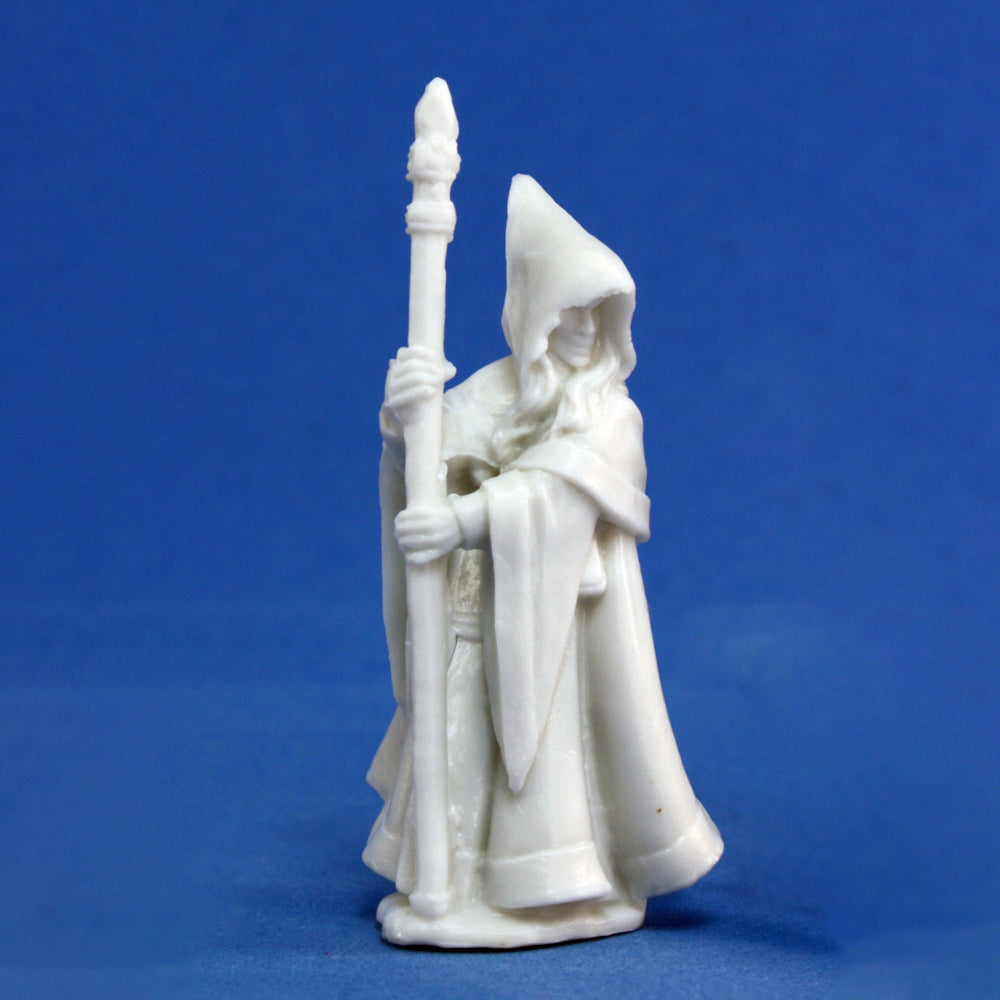77068 Anirion, Wood Elf Wizard - Reaper Bones Dark Heaven
