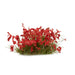 Gamers Grass - Shrubs and Flowers - Red Flowers - Wild